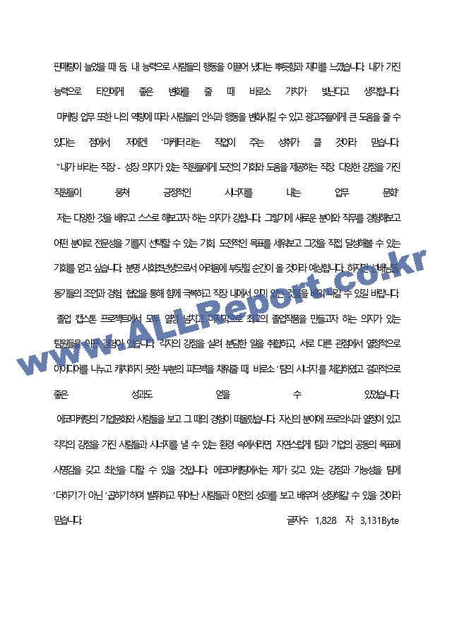 에코마케팅 최종 합격 자기소개서(자소서)   (3 페이지)